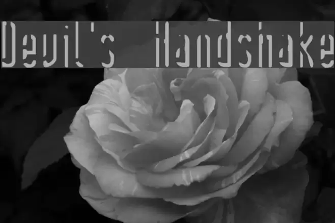 Devil's Handshake Polices examples