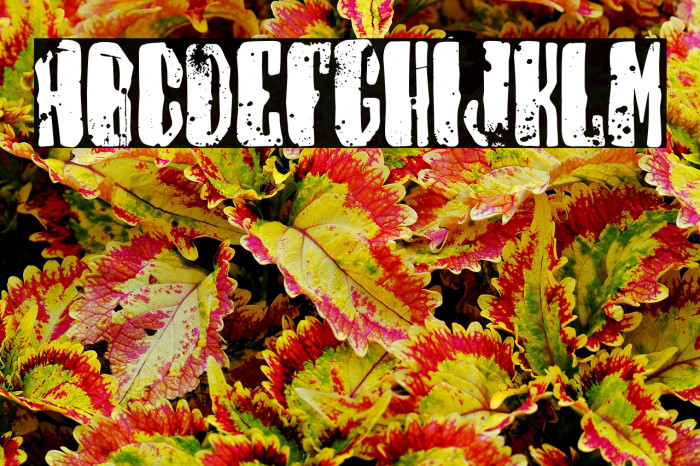 Devils Kingdom Example 1