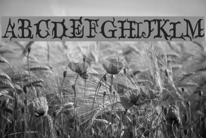 Devil's Snare Шрифта examples