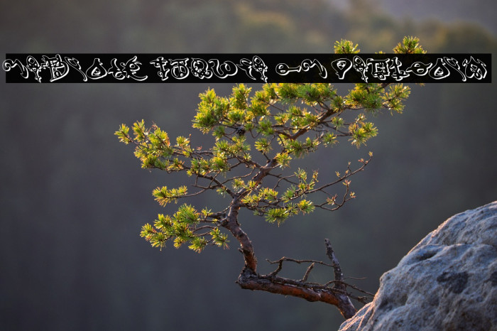 Devil's Tongue 3D Leftalic Example 1