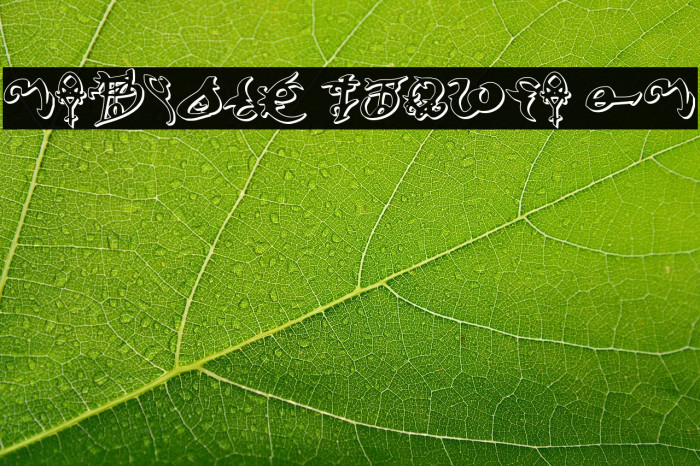 Devil's Tongue 3D Example 1