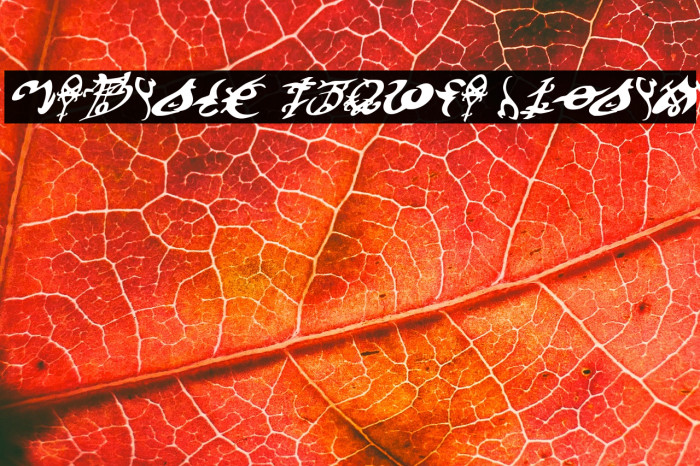 Devil's Tongue Italic Example 3