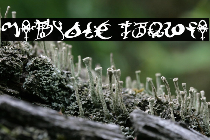 Devil's Tongue Example 2