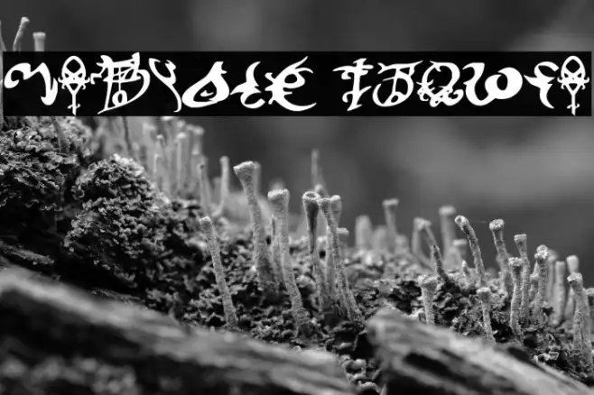 Devil's Tongue Example 2