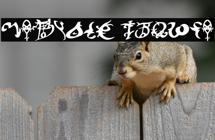 Devil's Tongue Example 3