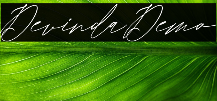 DevindaDemo Example 2