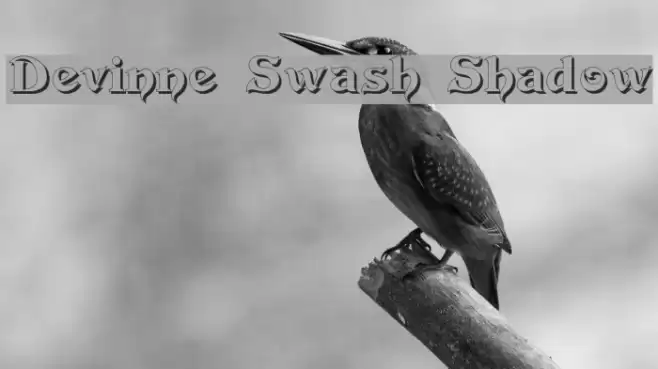 Devinne Swash Shadow Font examples