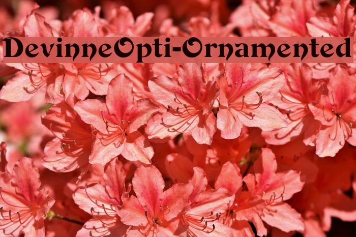 DevinneOpti-Ornamented Font examples