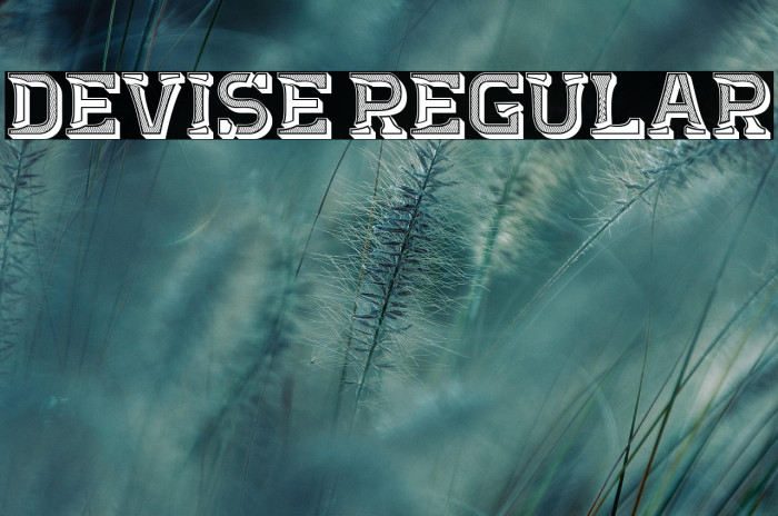 Devise Regular Example 3