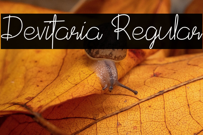 Devitaria Regular Example 3