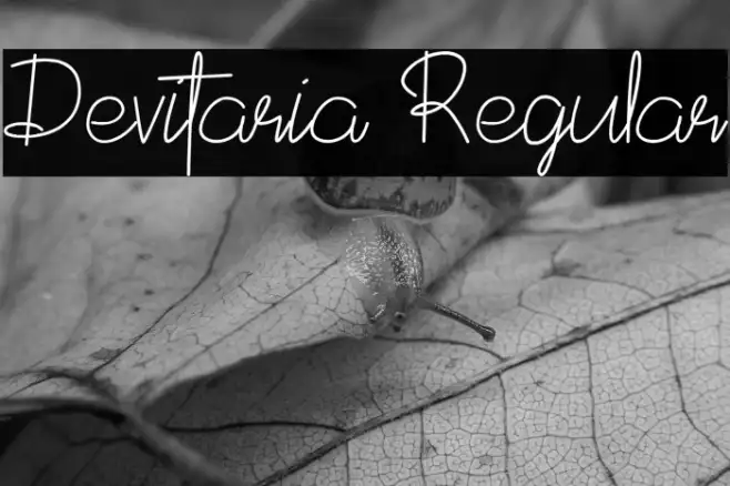 Devitaria Regular Example 3