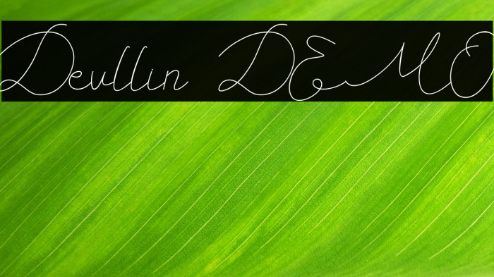 Devllin DEMO Example 1