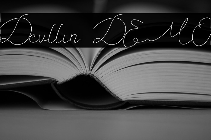 Devllin DEMO Example 2