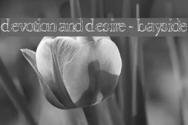 Devotion and Desire - Bayside Schriftart examples