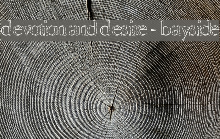 Devotion and Desire - Bayside Schriftart examples