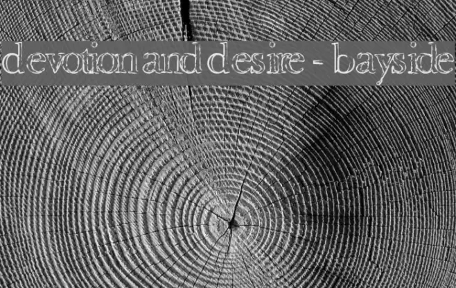 Devotion and Desire - Bayside Schriftart examples
