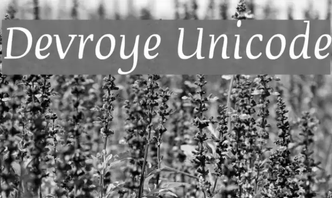 Devroye Unicode Fonte examples