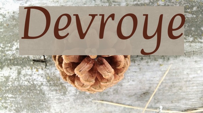 Devroye Font examples