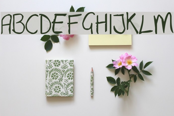 Dewald Font examples