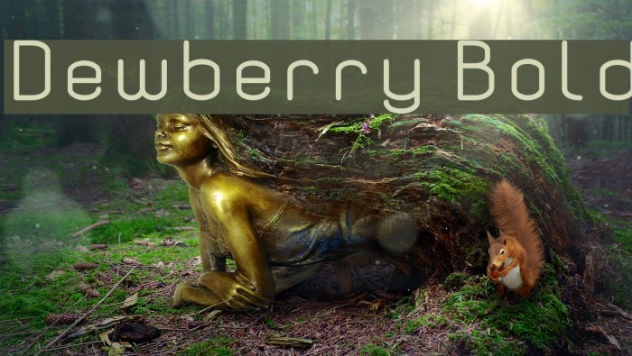 Dewberry Bold Font examples