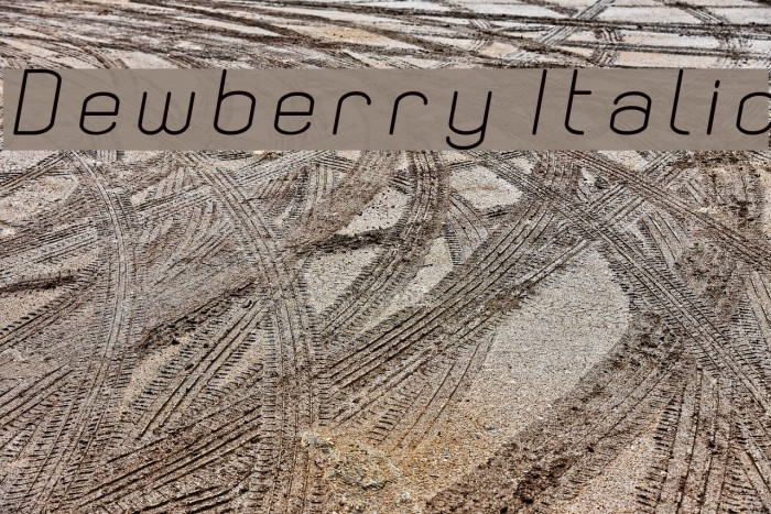 Dewberry Italic Example 2