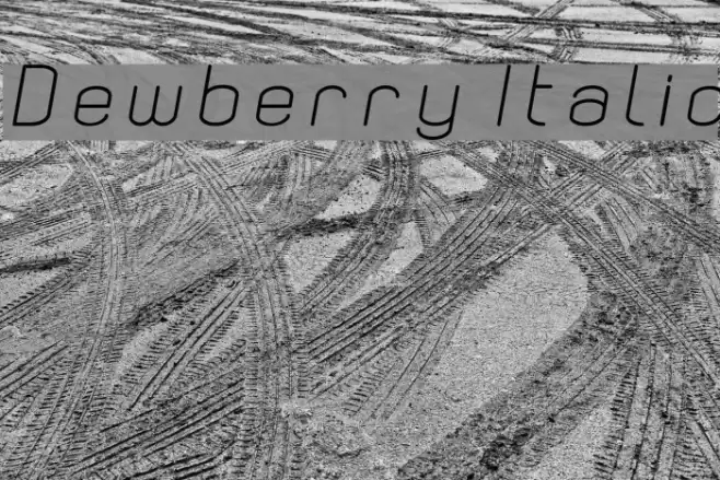 Dewberry Italic Font examples