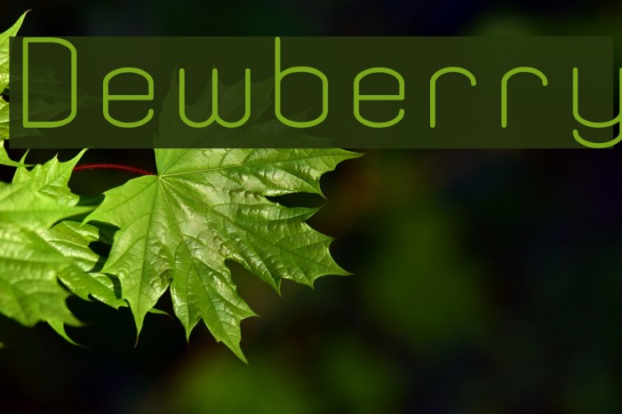 Dewberry Font examples