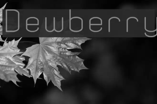 Dewberry Font examples