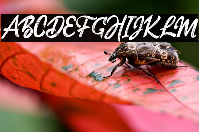 DexatersSillent Example 1