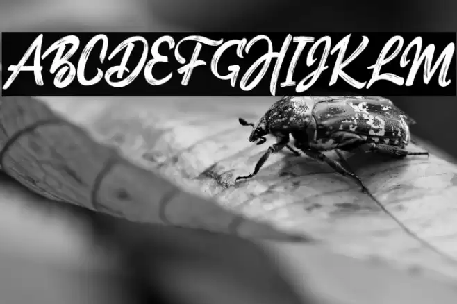 DexatersSillent Font examples