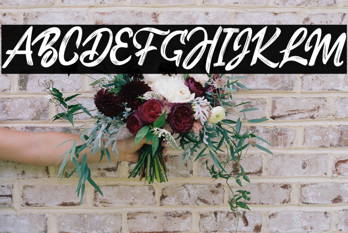 DexatersSillent Example 3