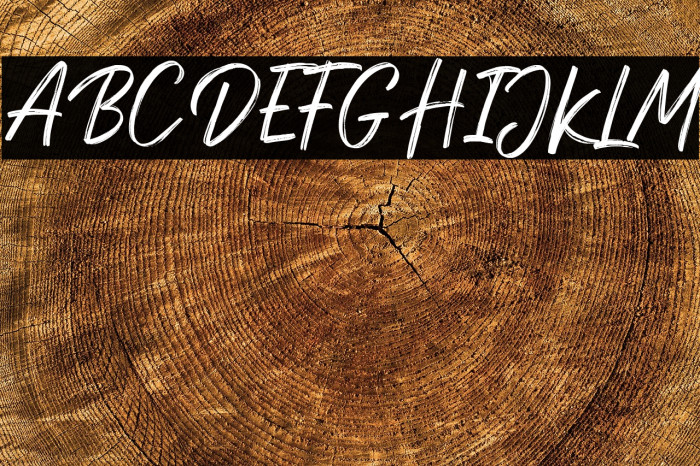 DexotickByDhanStudio Example 1