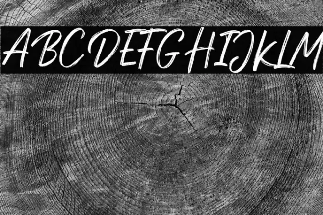 DexotickByDhanStudio Font examples