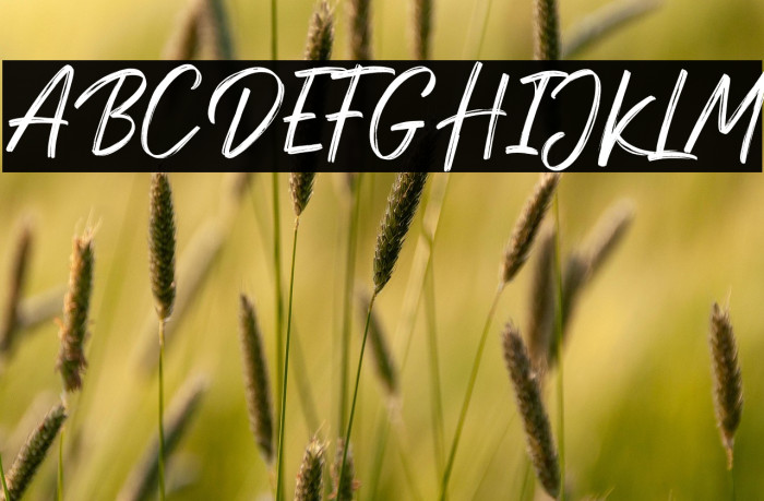 DexotickByDhanStudio Example 3