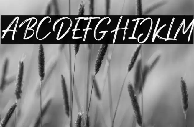 DexotickByDhanStudio Font examples