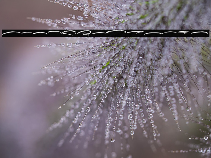 DexotickUnderlines Example 1