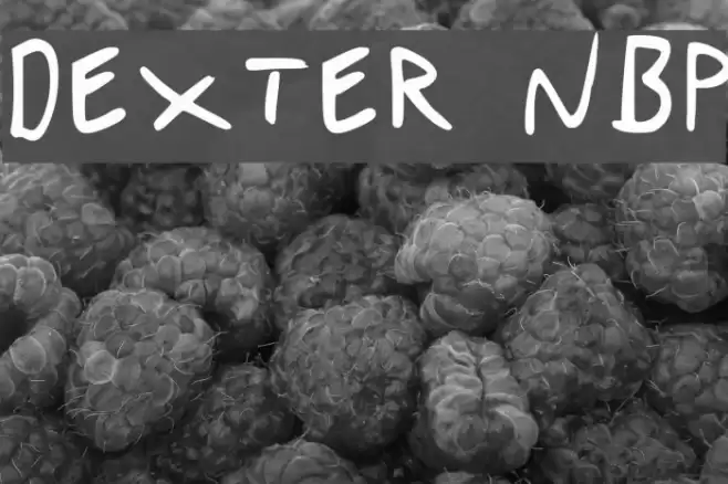 Dexter NBP Font examples