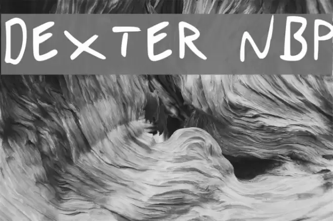 Dexter NBP Font examples