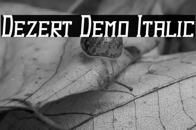 Dezert Demo Italic Font examples