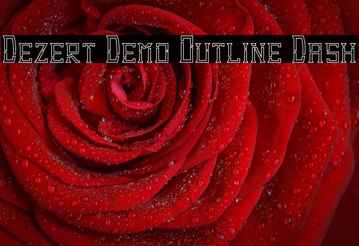 Dezert Demo Outline Dash Example 3