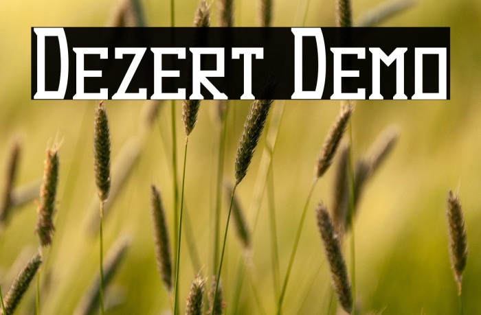 Dezert Demo Example 2