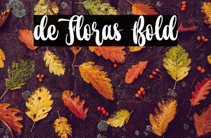 de Floras Bold Example 1