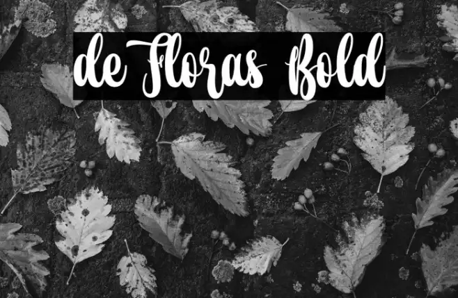 de Floras Bold Example 1