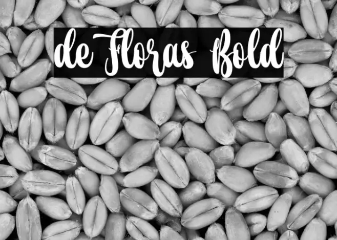 de Floras Bold Example 3