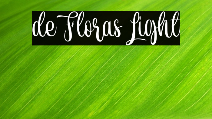 de Floras Light Example 2