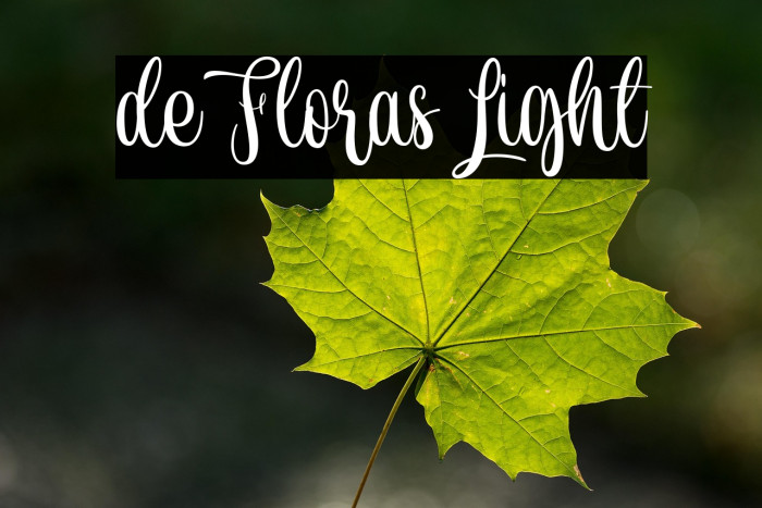 de Floras Light Example 3