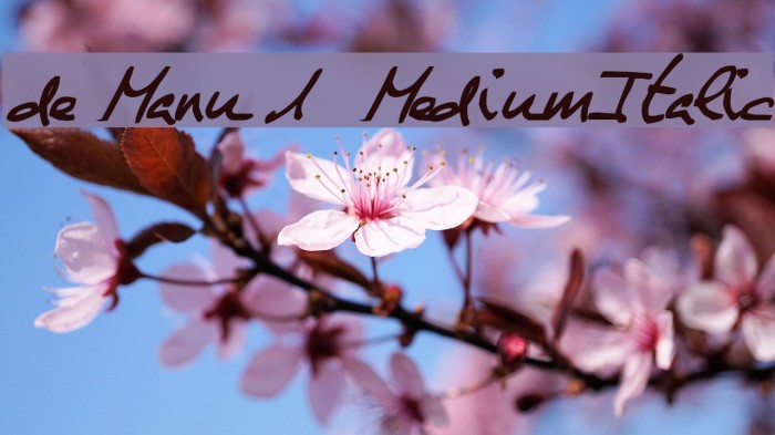 de Manu 1 MediumItalic Font examples