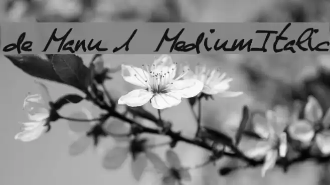 de Manu 1  MediumItalic Font examples
