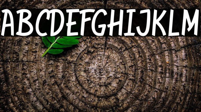 de Solidia Example 2