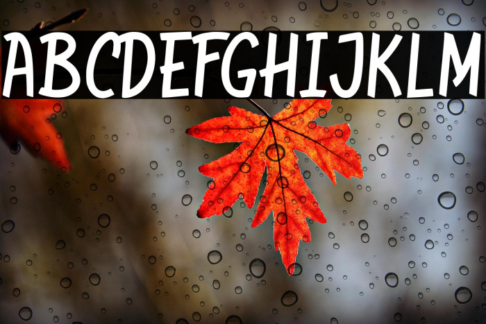 de Solidia Example 3